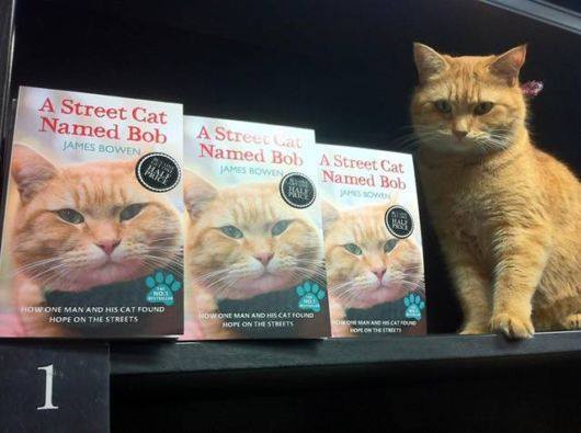ourloveissemperfii:  &ldquo;One day in the subway, James saw a red cat with a