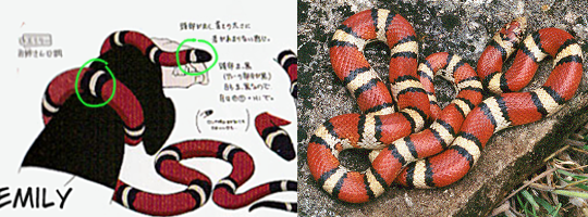 Snake’s Snakes: A Guide