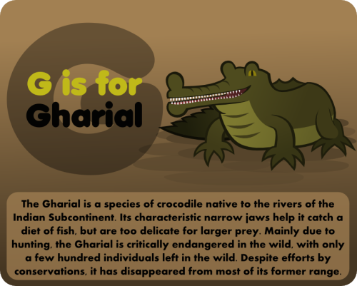 G is Gharial