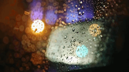 The Rain Keeps us Alive