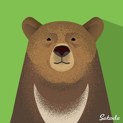 動物シリーズ No.1 Bear/クマ iStock、PXTAにて近々販売。 #イラスト#イラスト販売#イラストレーション#絵#illustrator#illustration#イラストレーター#挿絵