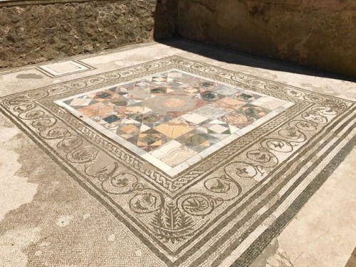 noragaribotti: POMPEII-House of Marcus Lucretius-In the Tablinum sits a geometric patterned mosaic f