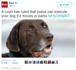 homotionall:  yobitchmyhoe:  lagonegirl:   I mean they already shooting black people for doing… nothing    But fighting a police dog off you is a charge assault against a officer. Gtfo! A police dog life matters more than my black ass, and dog.   I’m