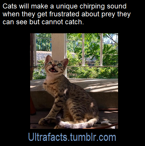ultrafacts: Source/article: [x] Follow Ultrafacts for more facts! 