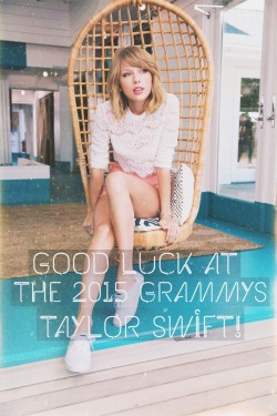 From us to you, the Swifties on Tumblr 