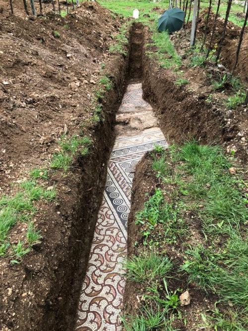 birdsquirrel:speciesbarocus:Roman mosaic floor discovered under a vineyard in Negrar di Valpolicella, Veneto.   #something about this really gets to me #how if you get enough dirt on your floor it just becomes the ground #and eventually someone is trying