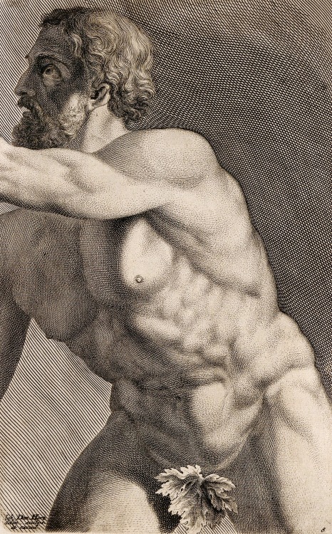 hadrian6:Torso of a Male Nude. c.1732. Johann Daniel Herz German 1693-1754. engraving.       http://