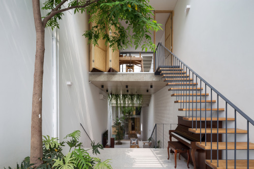 CH House, Hanoi, Vietnam,ODDO architects