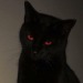 murdershawty:nullity