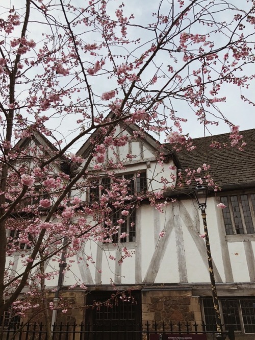 Leicester Cathedral & Guildhall