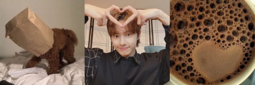 Hey Alexa ! Congrats On 3k (i Love Ur Works I Literally Read Them All) For Ur Event I Would Like To Request