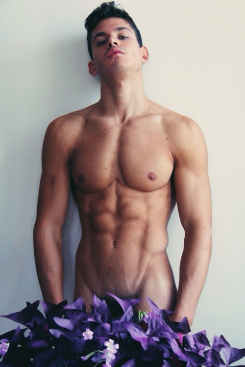 Gayporn blog