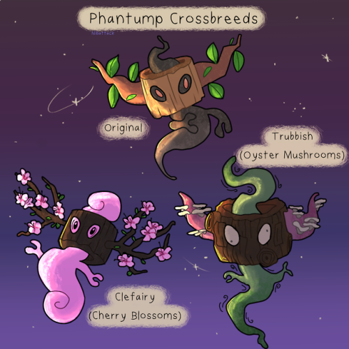 Pokemon is a good series and I like Phantump and that’s what I’ve brought you here