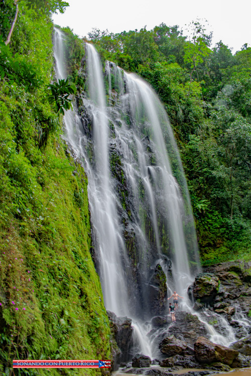 Charco Prieto, Bayamón, Puerto Rico