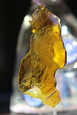 thctara:  Chemdawg shatter