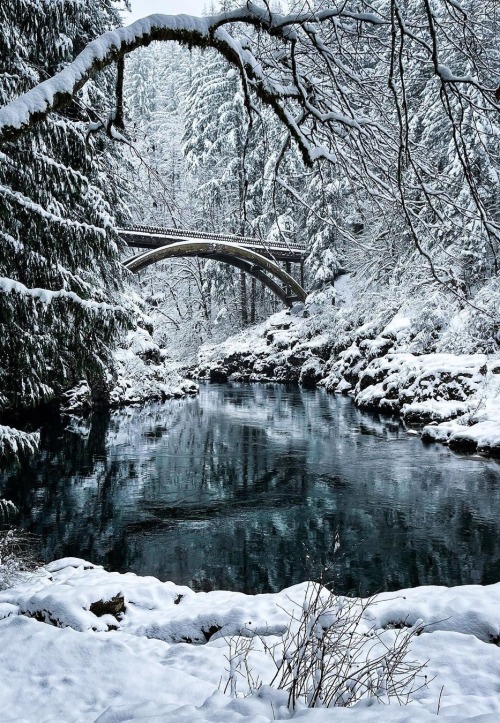 maureen2musings:Shades of Winterkristarphoto
