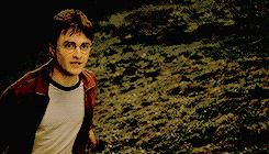 remusjohnslupin:  Harry then did something that was both very brave and very stupid.