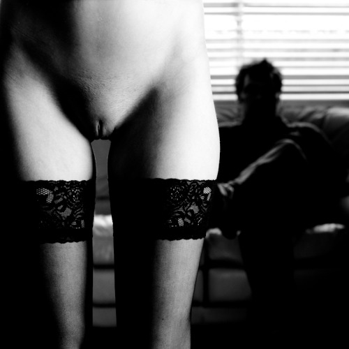 tickled-pink1:  on display for Sir… 