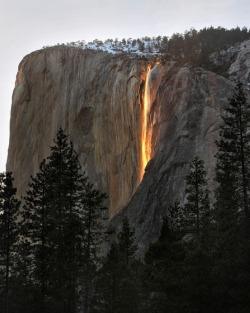 weallheartonedirection:  Yosemite falls turn gold at sunset.