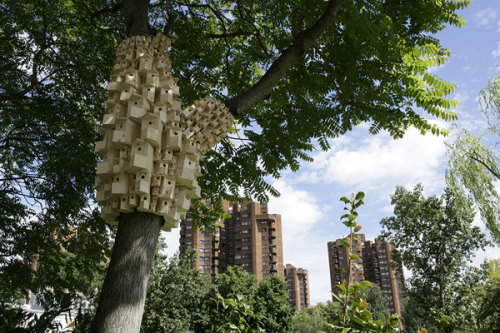 slowartday: London Fieldworks, Spontaneous City Spontaneous City is one of these sculptural installa