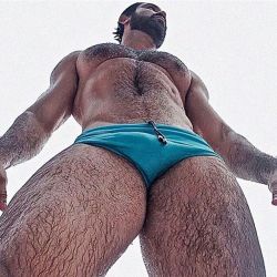 hairymacho:  http://hairymacho.tumblr.com/