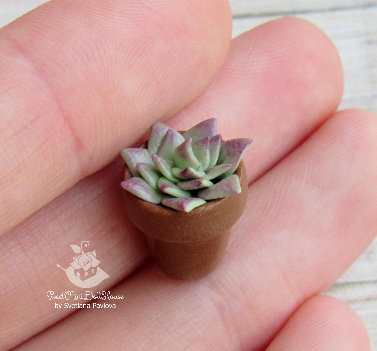 sosuperawesome:  Miniature Food and Succulents by Svetlana Pavlova on EtsySee our