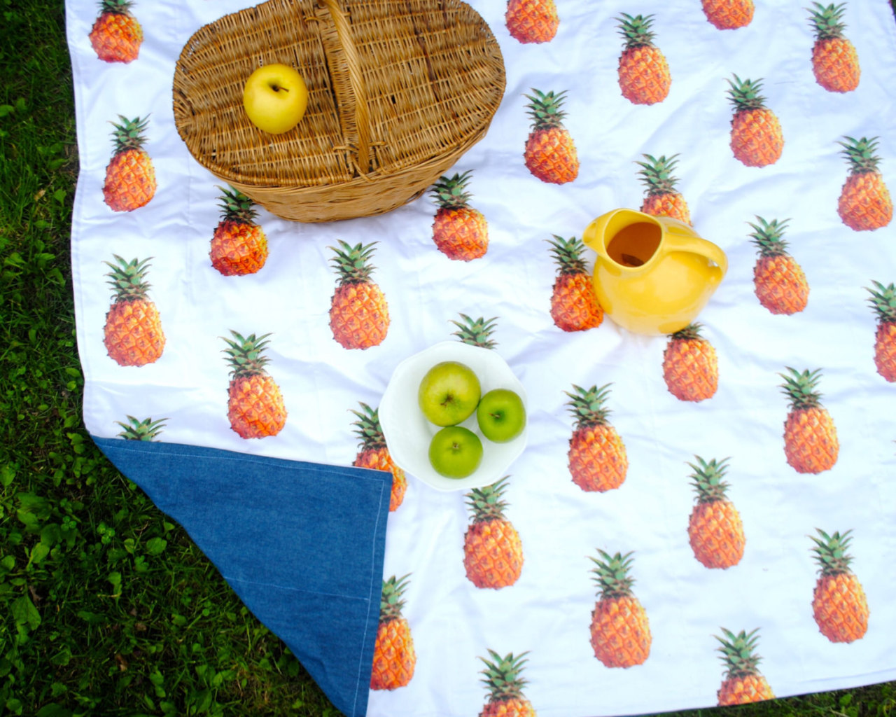 Picnic blankets - including waterproof designs