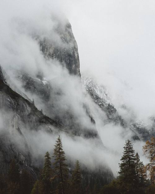 Yosemite National Park.
