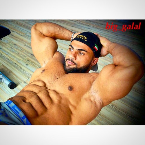 drwannabe:  Galal Zakaria