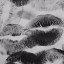 xdelilah-gracex