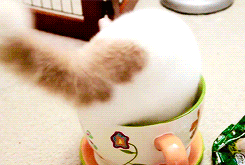 ༀམཎིཔདྨེཧཱུྃ