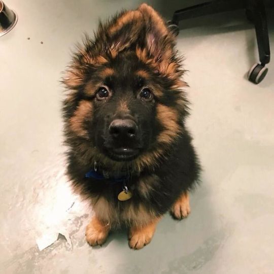 People Who Work With Animals Are Sharing Their Cutest Photos, And We Can’t Get Enough