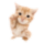 hyttp