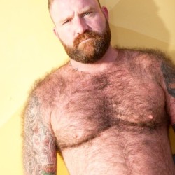 bearweek365:  Found this #BULKYBoss on TUMBLR, anyone know who this bubba is? #GingerBeard perfection!  #beefyboys #bearweek365