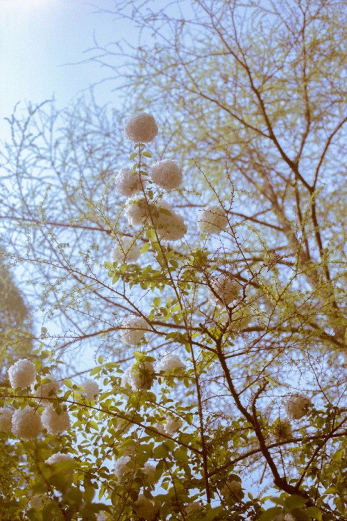 summer, 2018photography by Li Hui