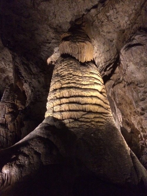 anomalokaris: Seds/ Strat field trip. Carlsbad Caverns. It’s always nice when your undergrad f