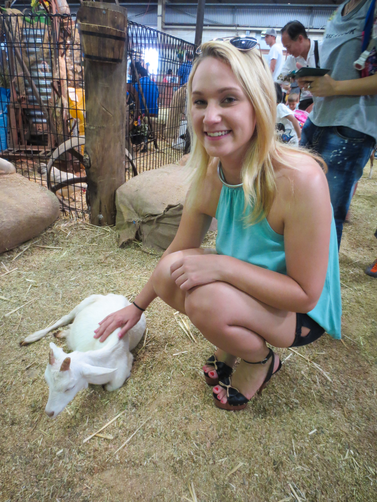 Baby Animals!!!! - Easter Show 2013