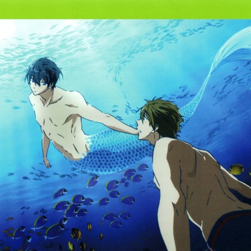 MakoHaru Mook!