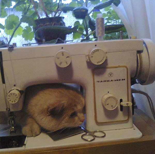 fantasticcatadventures:yes, I’m helping