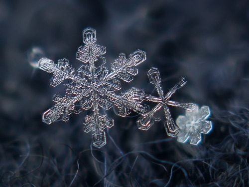 inkxlenses:Snowflake Macro Photography | by Alexey Kljatov