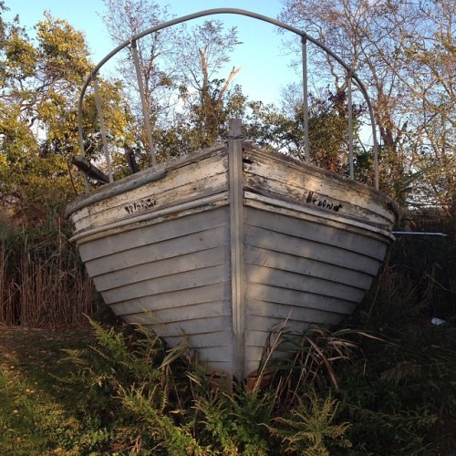 the wooden boat dreams of seeing the sea again