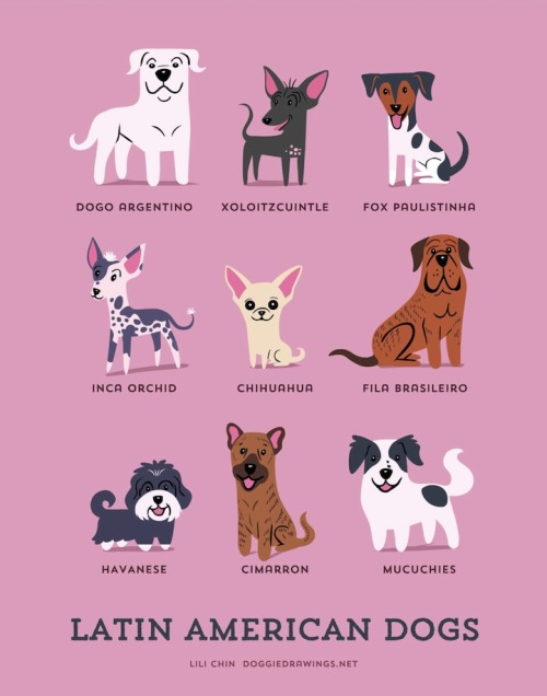 ivyarchive: mymodernmet: Illustrator Lili Chin’s adorable series Dogs of the World&n