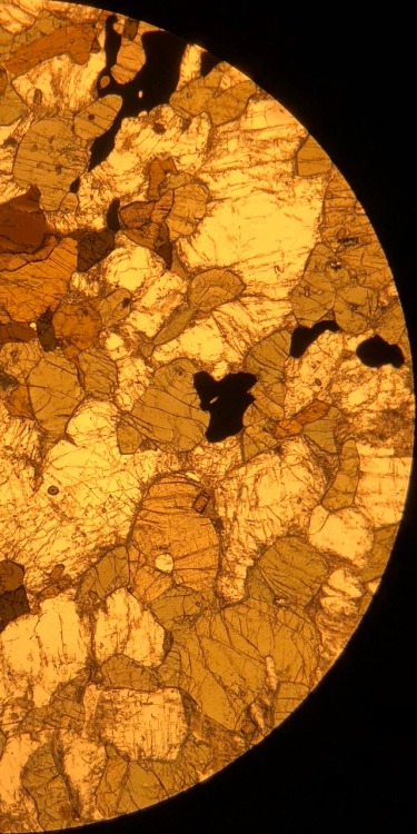 optical-mineralogy:Gabbronorite in thin sectionPlagioclase Feldspar (anorthite)ClinopyroxeneOrthopyr