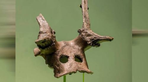 historyarchaeologyartefacts:Deer skulls with carved eyeholes dating to 11,000 years ago have been di