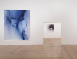 wolfgang tillmans