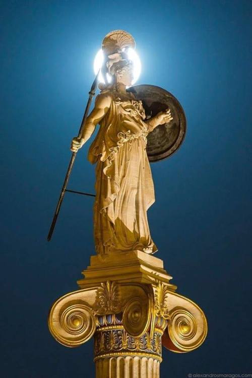 disbander-of-armies: arjuna-vallabha: Athena from Vienna , photo by Alexandros Maragos There is also