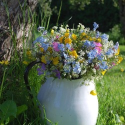 coffeeandshit:Made a bouquet of wildflowers