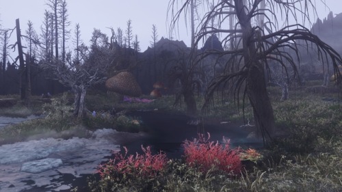 belmontswhip:Hjaalmarch swampsDark Forests of Skyrim v2 WIP