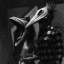nightsbled