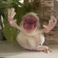 hazyfrogs